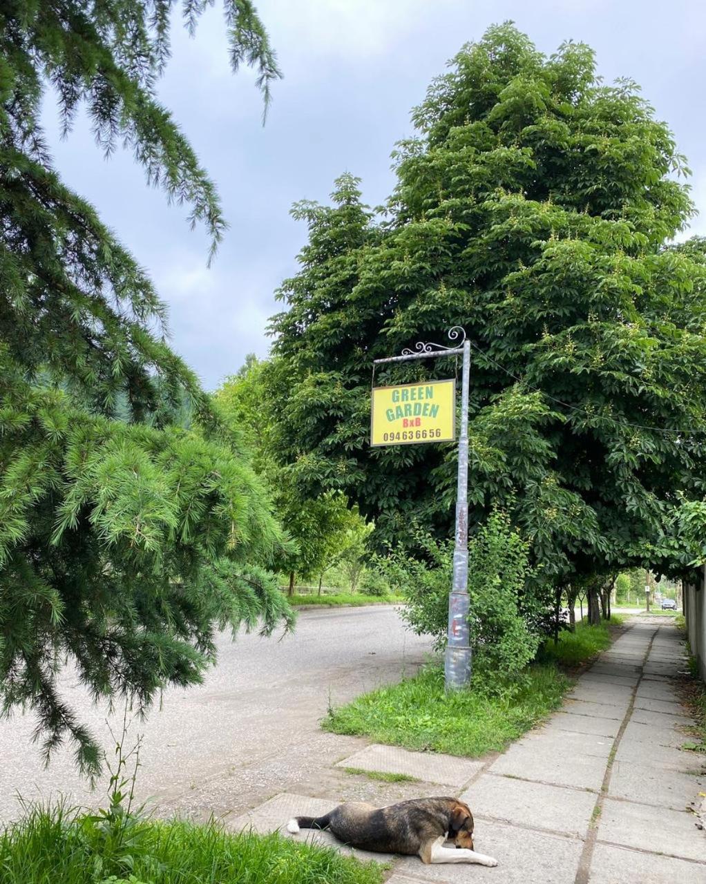 Green Garden B&B Дилиян Екстериор снимка